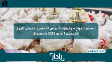 «سعر الفراخ» وكرتونة البيض الأحمر والأبيض اليوم الخميس 1 مايو 2025 بالأسواق